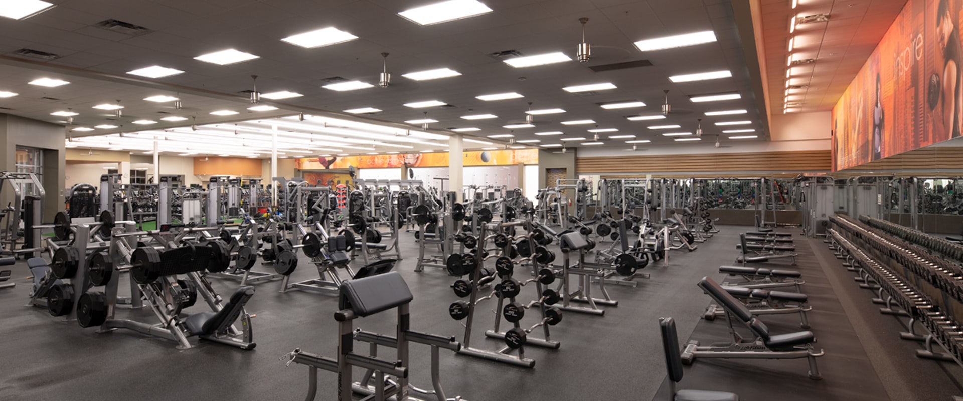 The Top Gym and Fitness Centers in Cape Coral, FL